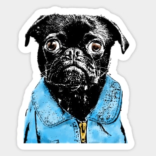 Cool Punk Pug - Would You Look At ME? Sticker